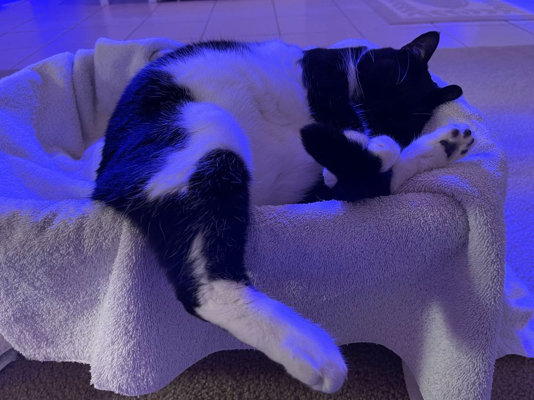 Long day after work