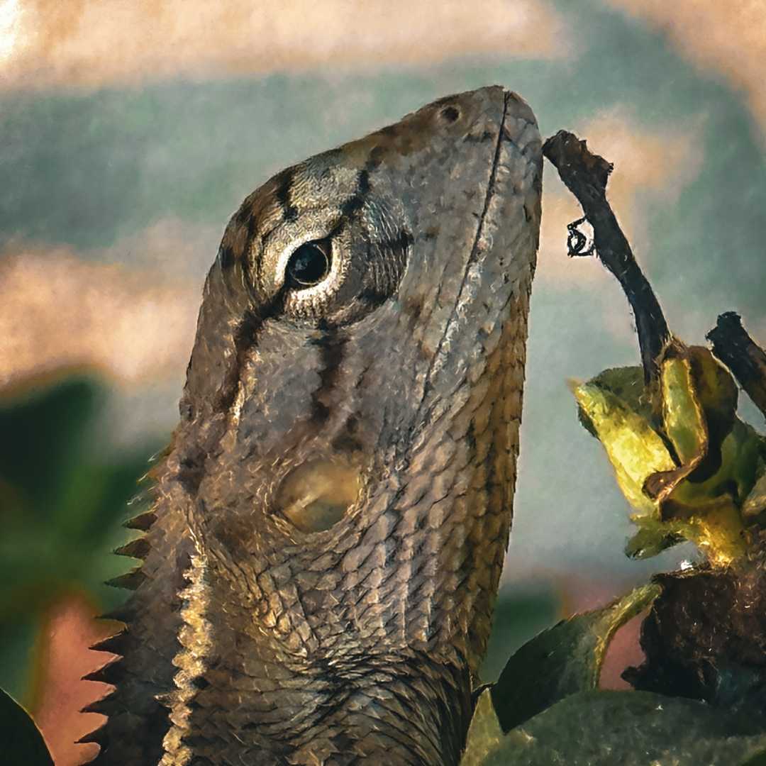 🦎