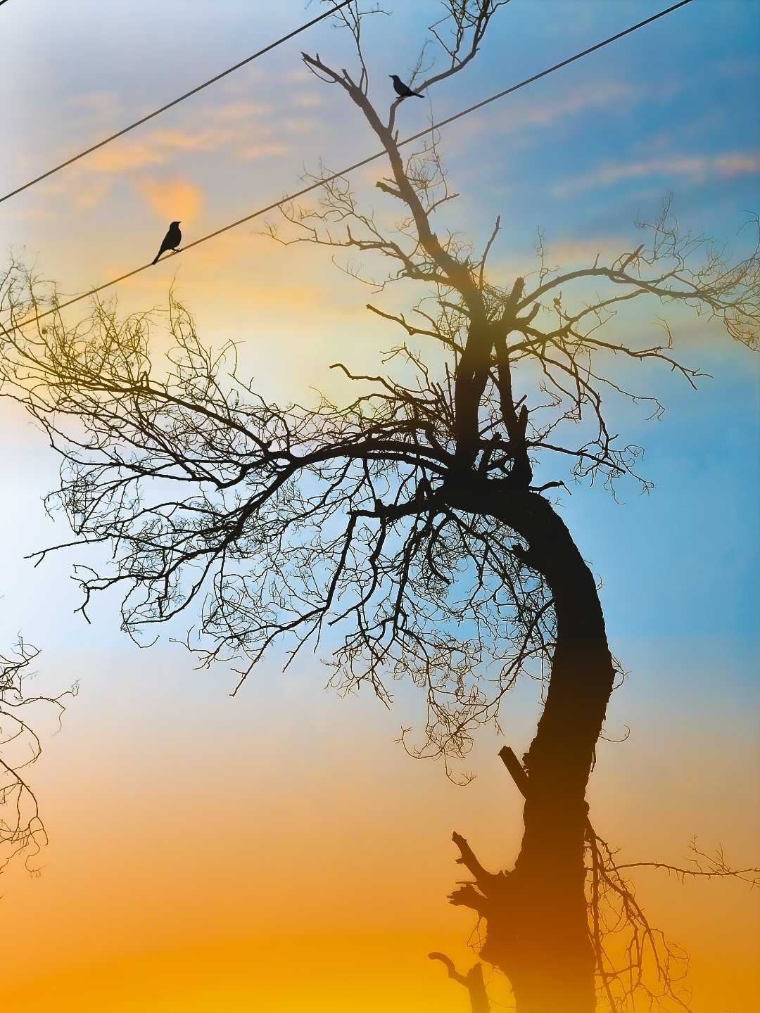 Never be afraid to stand alone... 🚶‍♀️
