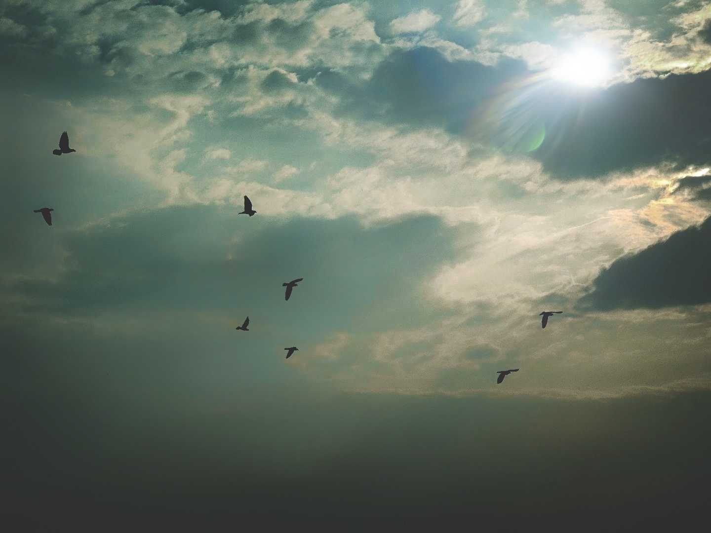 SHINE ON... 