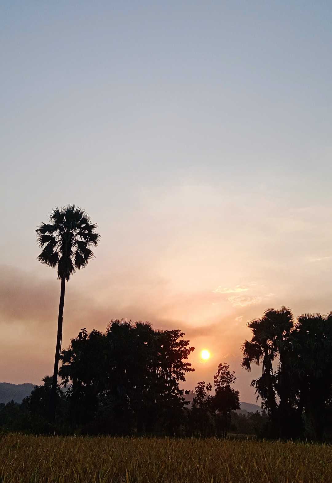 sunset💗💗💗