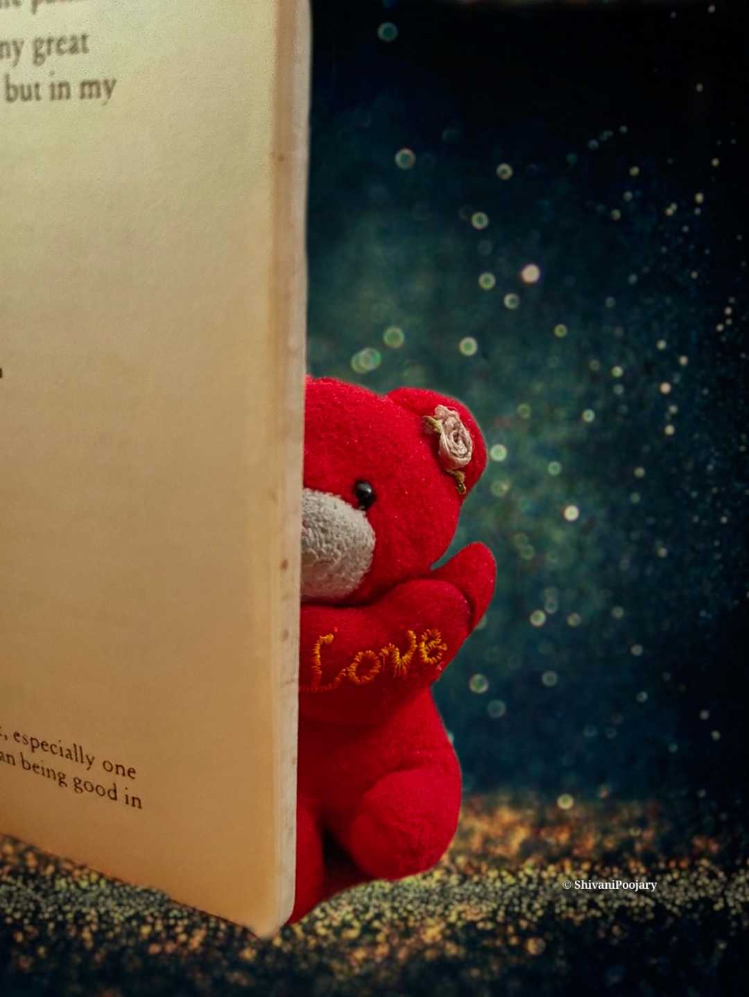 Teddy 🧸