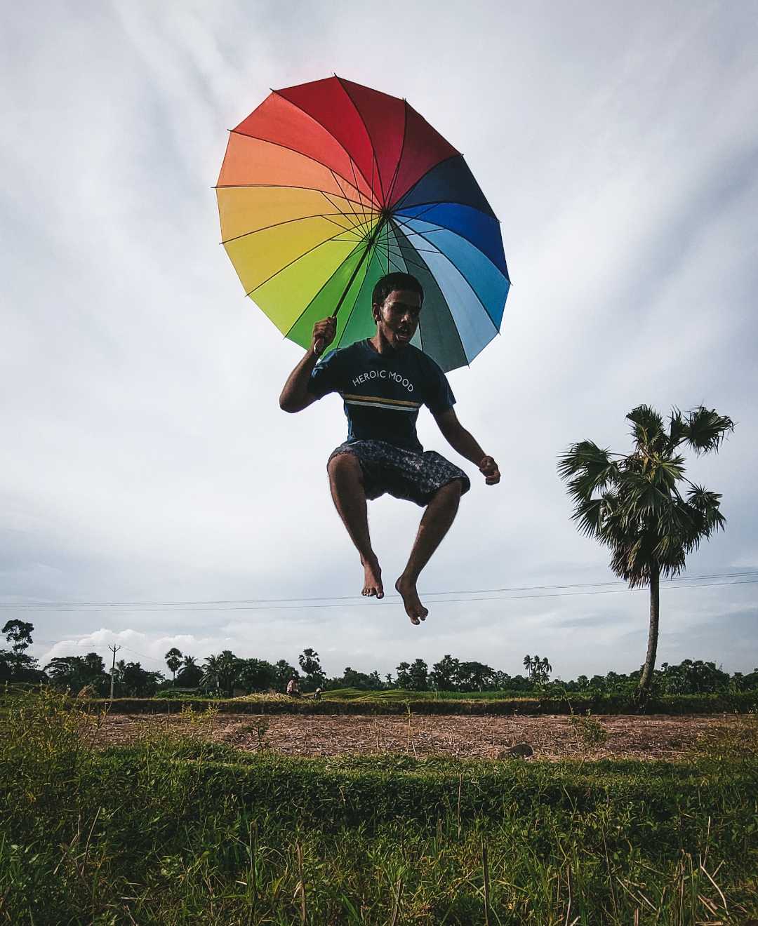 those who never jump will never fly 