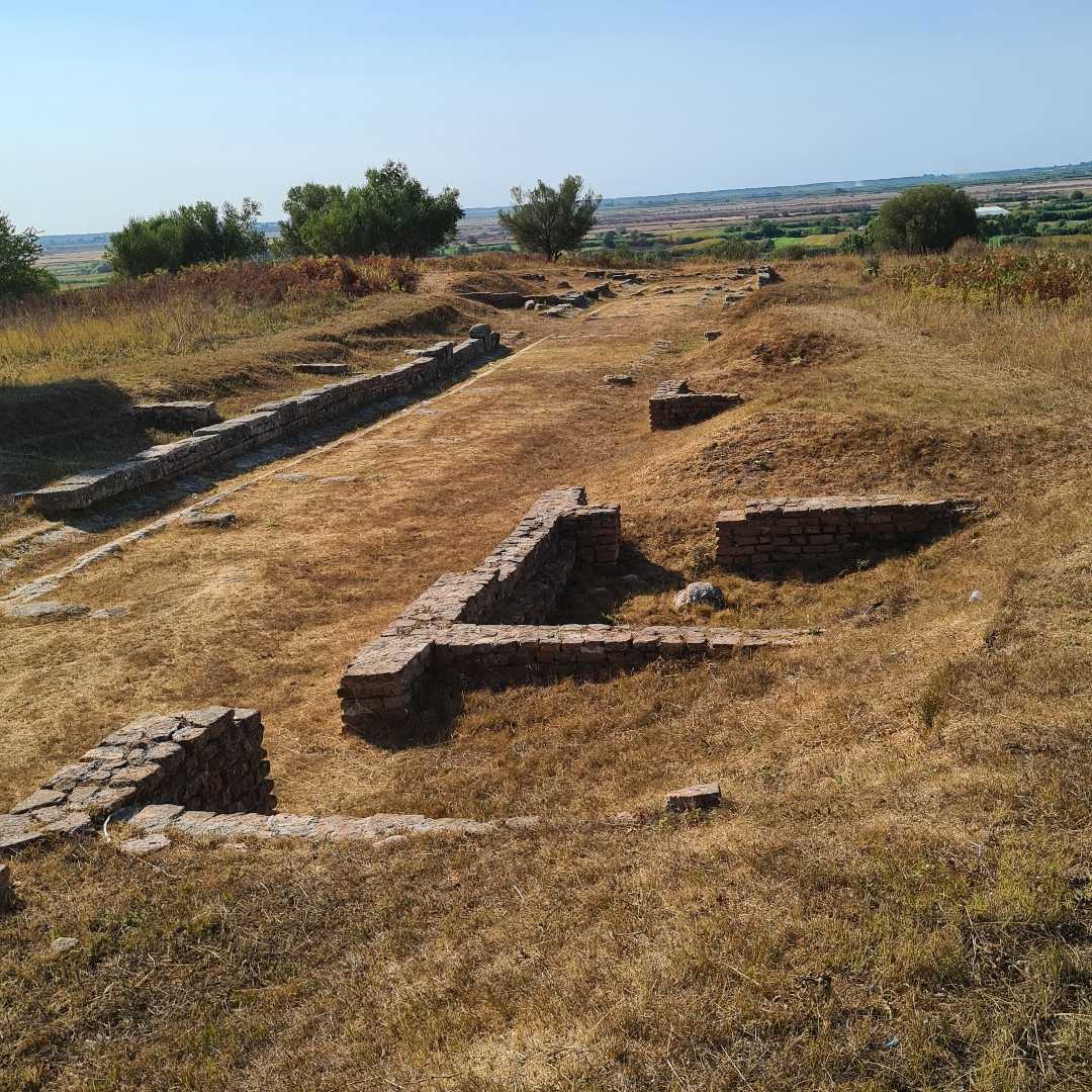 Apolonija