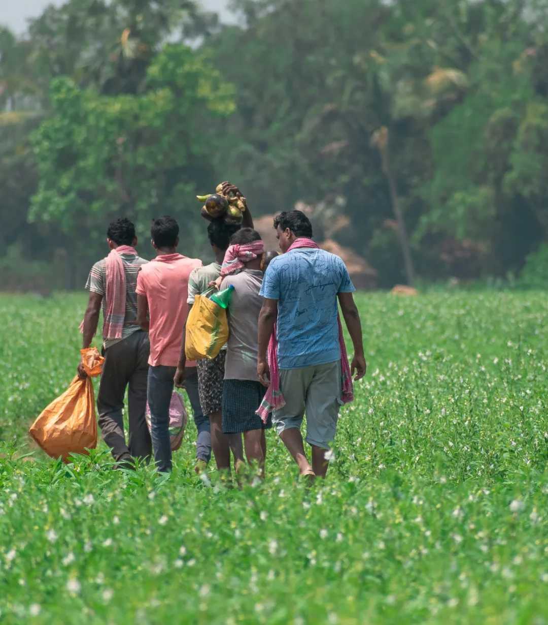 তালশাঁস অভিযান ❤️