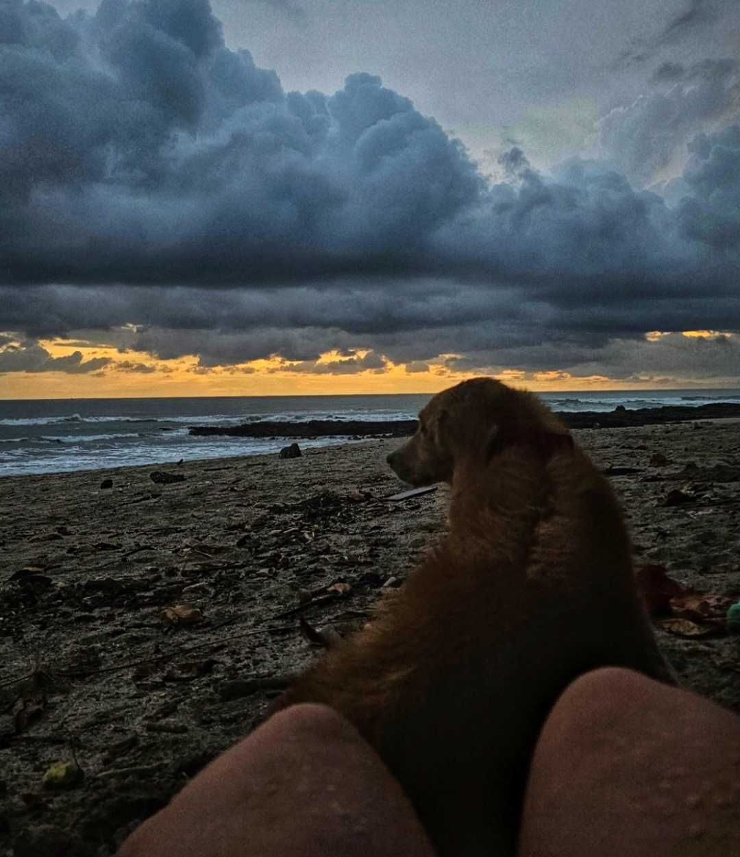 Esperando el Atardecer