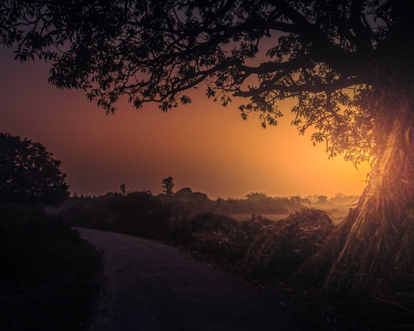 sunrise in Rural India