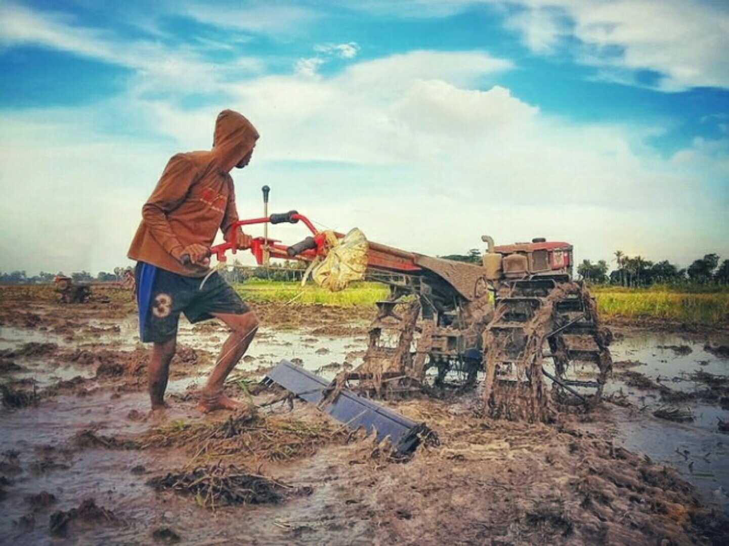 Rural Life
