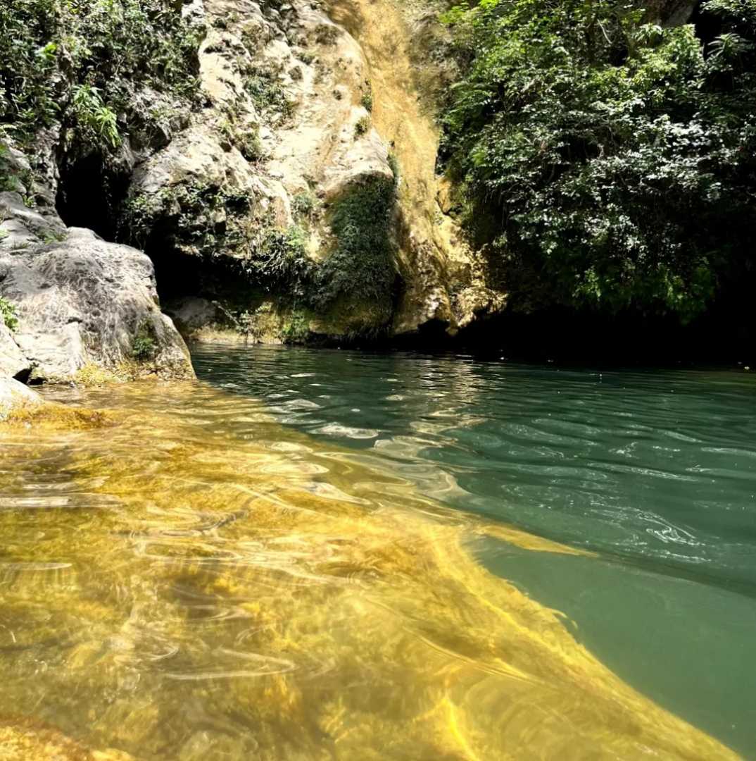En contacto con la naturaleza 💚
