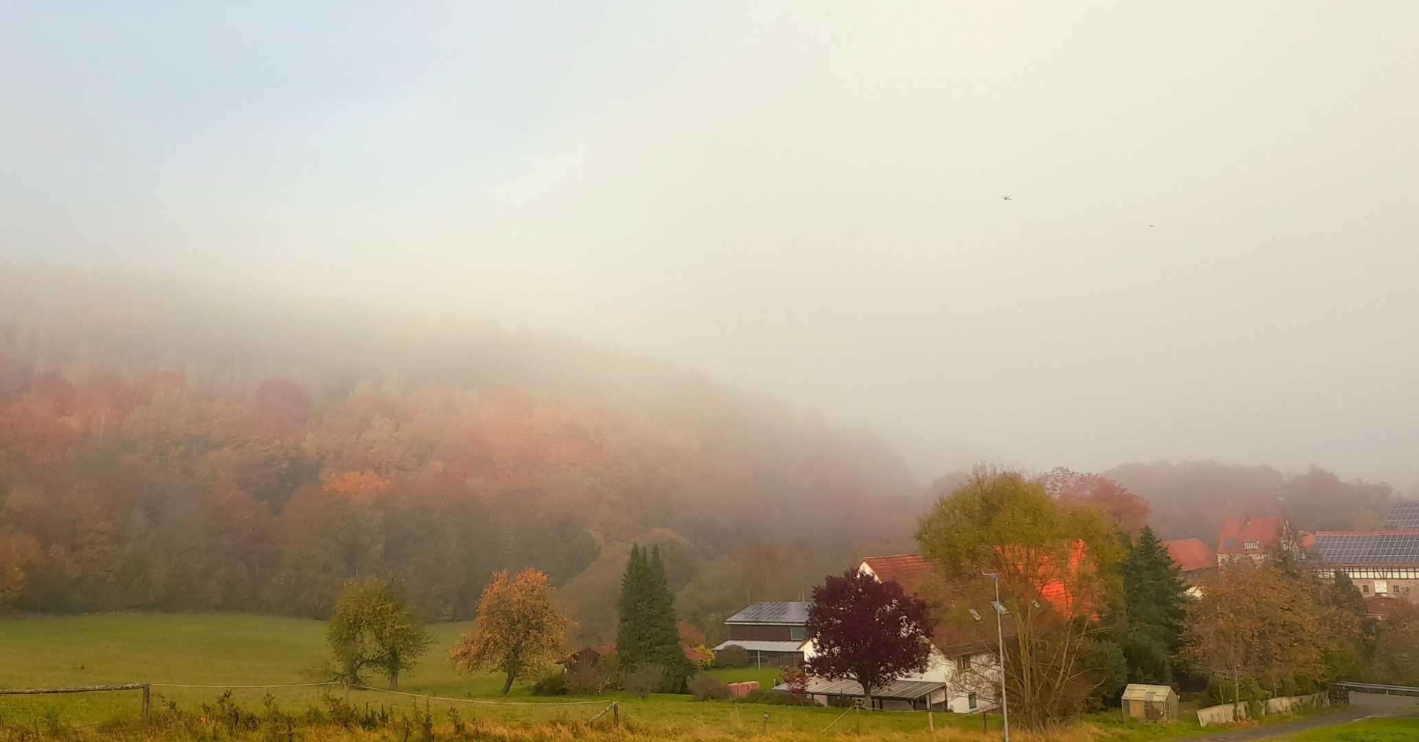 morning fog