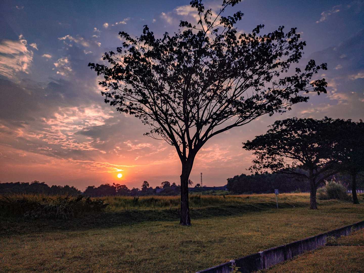 Backyard Sunset 