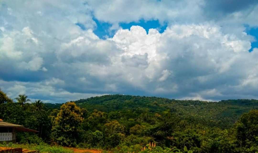 Kerala beauty ☁️