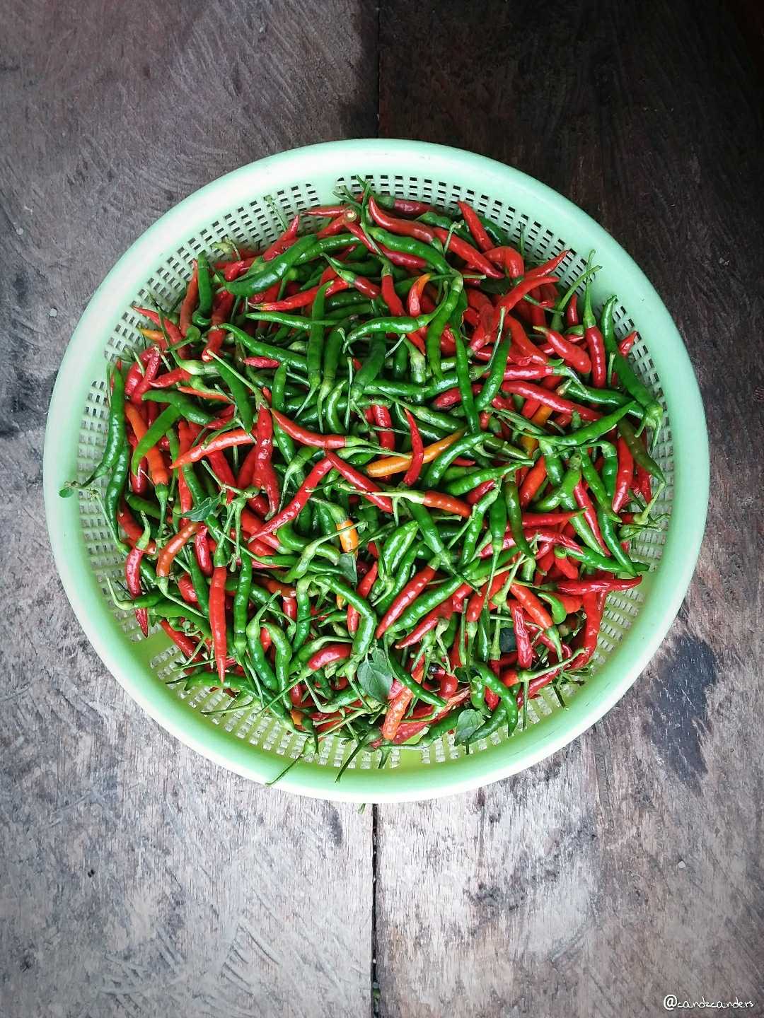 Chillies 🌶🔥