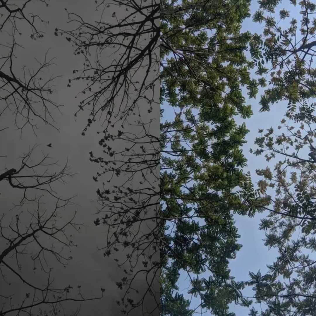 রং পাল্টায় দিন বদলায়া 