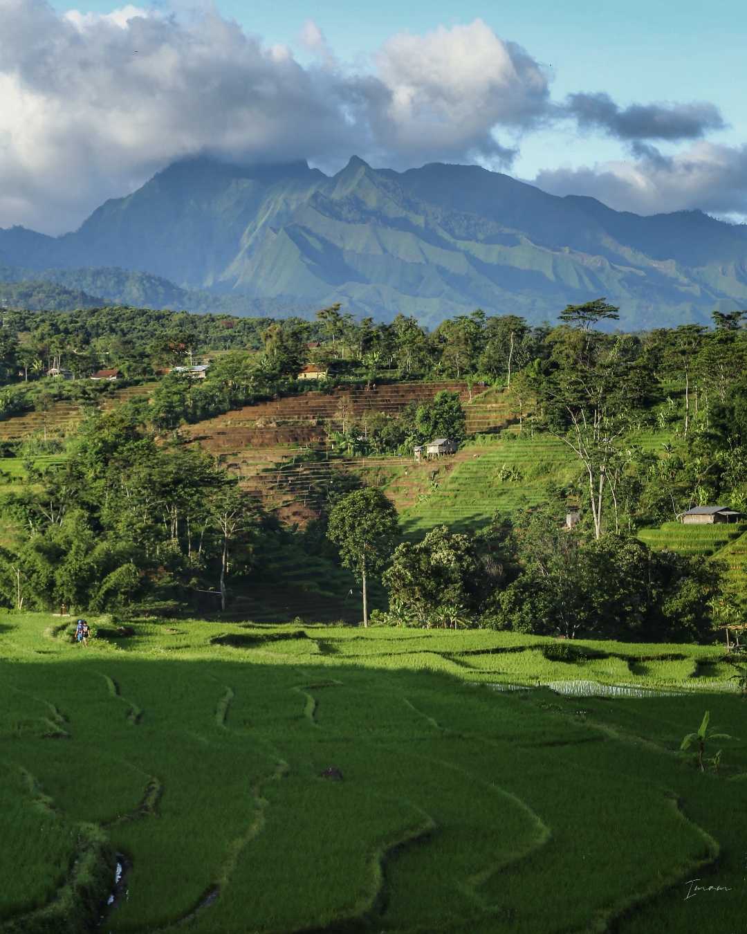 gunung Anjasmoro