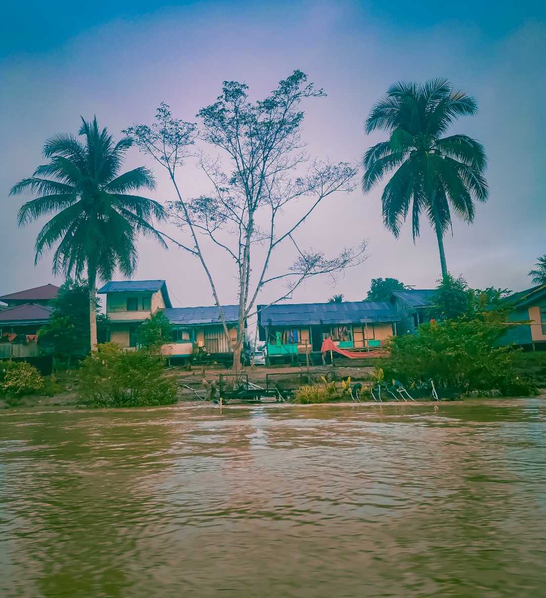 Home In the River
