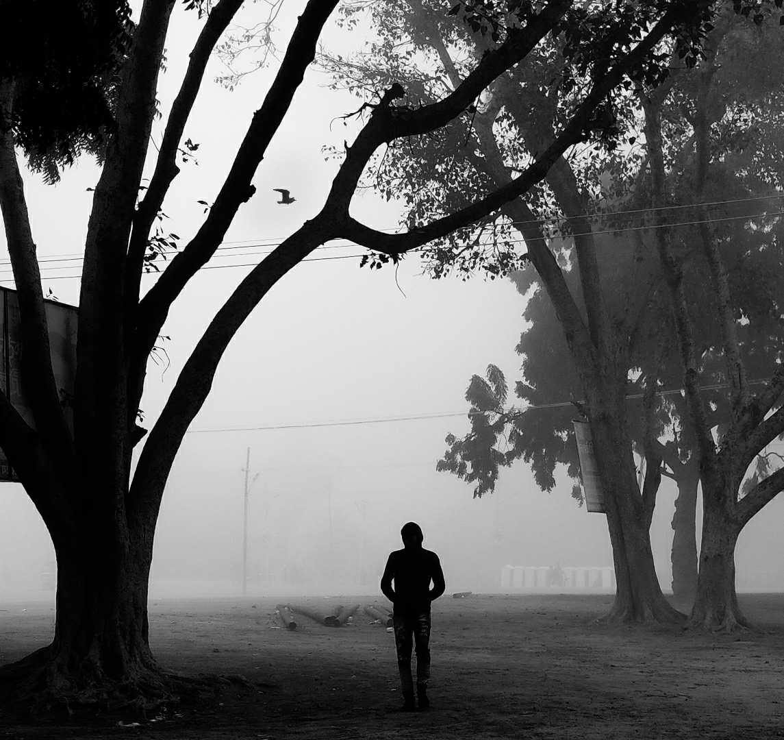 Winter foggy mornings 