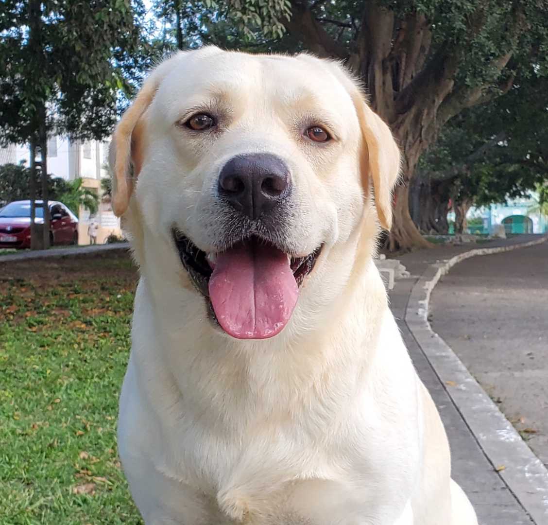 😍😍😍