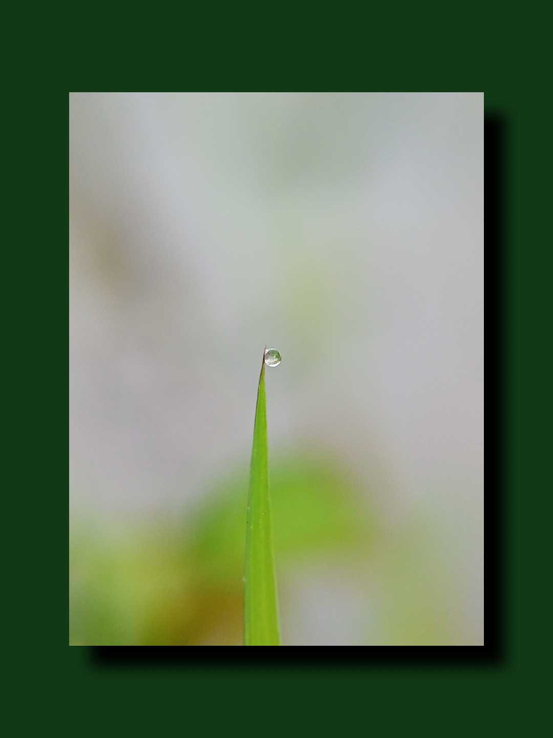 Embun