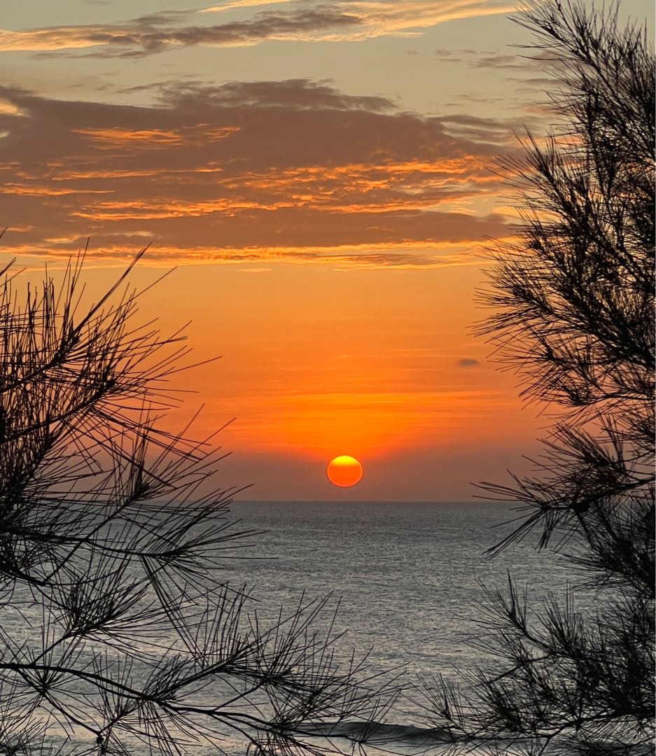 Sunset