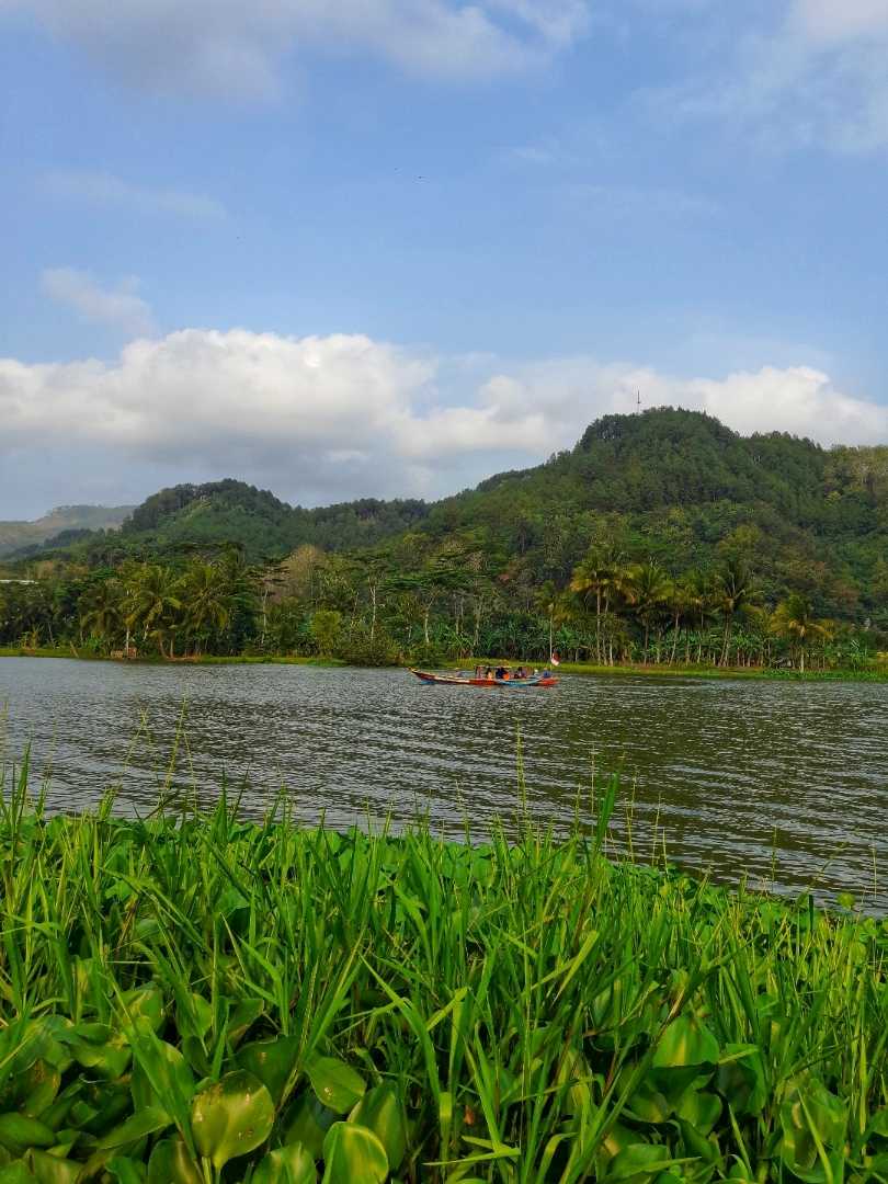 Green view