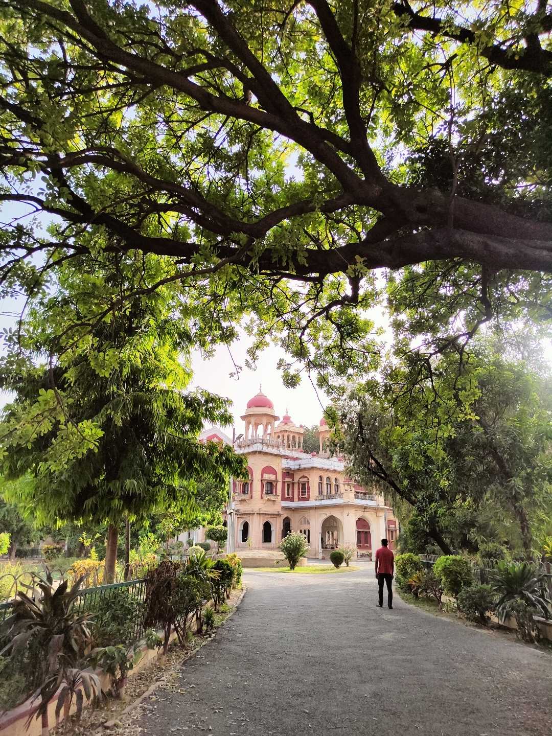 📍 Allahabad University