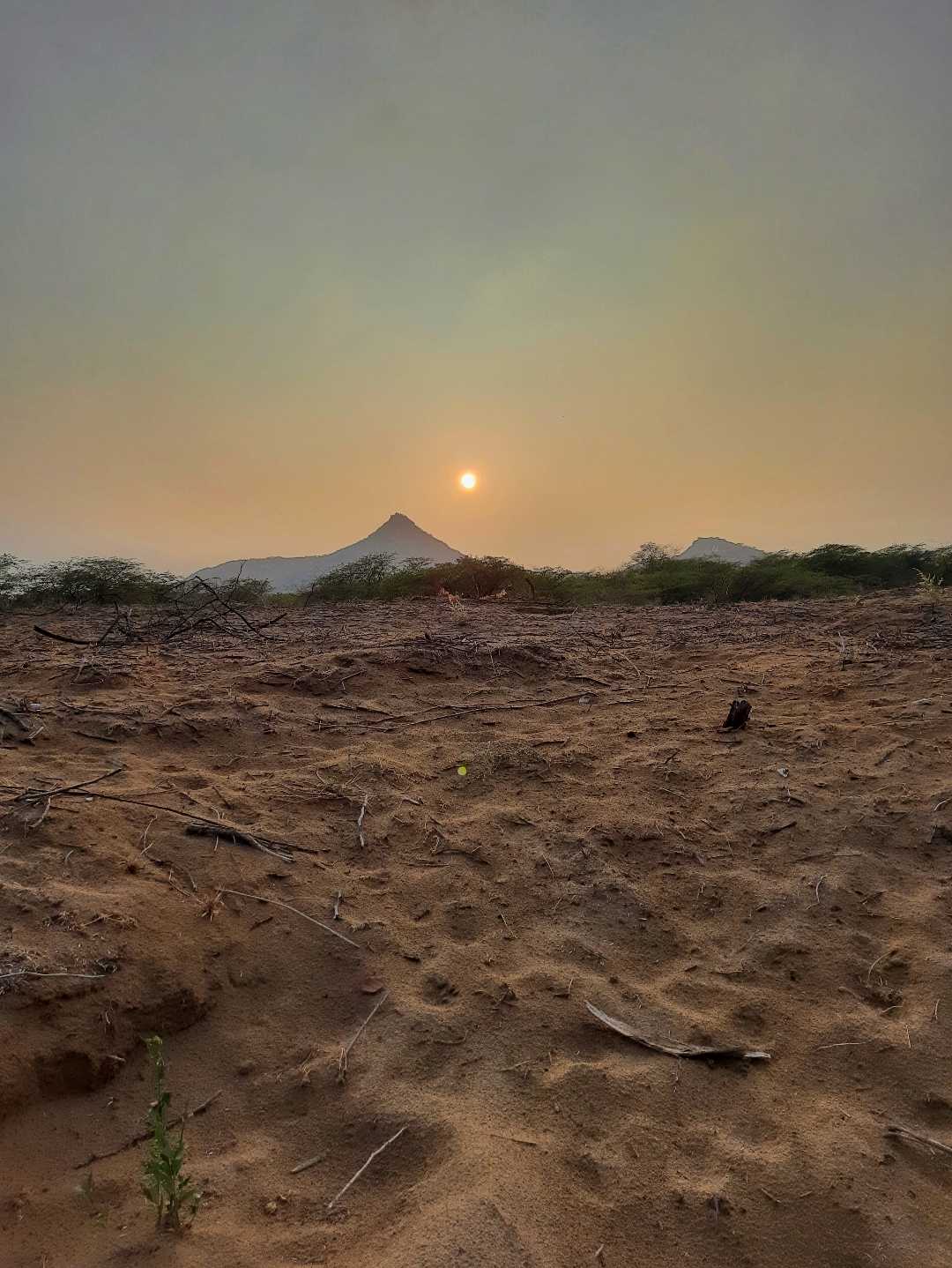 a beautiful sunset in desert  
