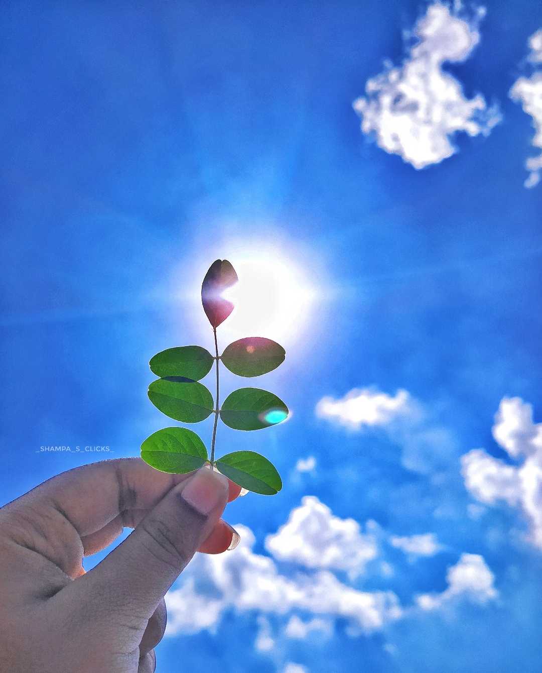 Shine like Sunshine 🌞