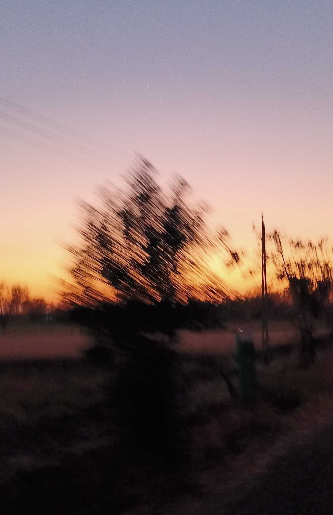 movement shot 