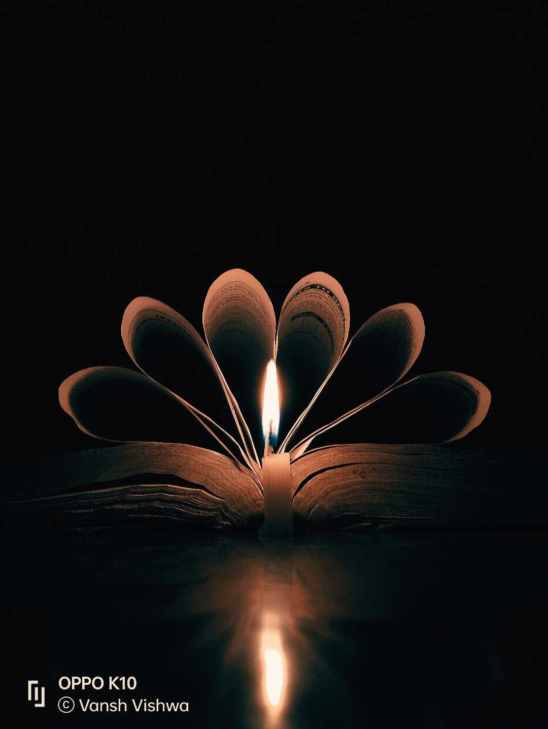 A flower of book