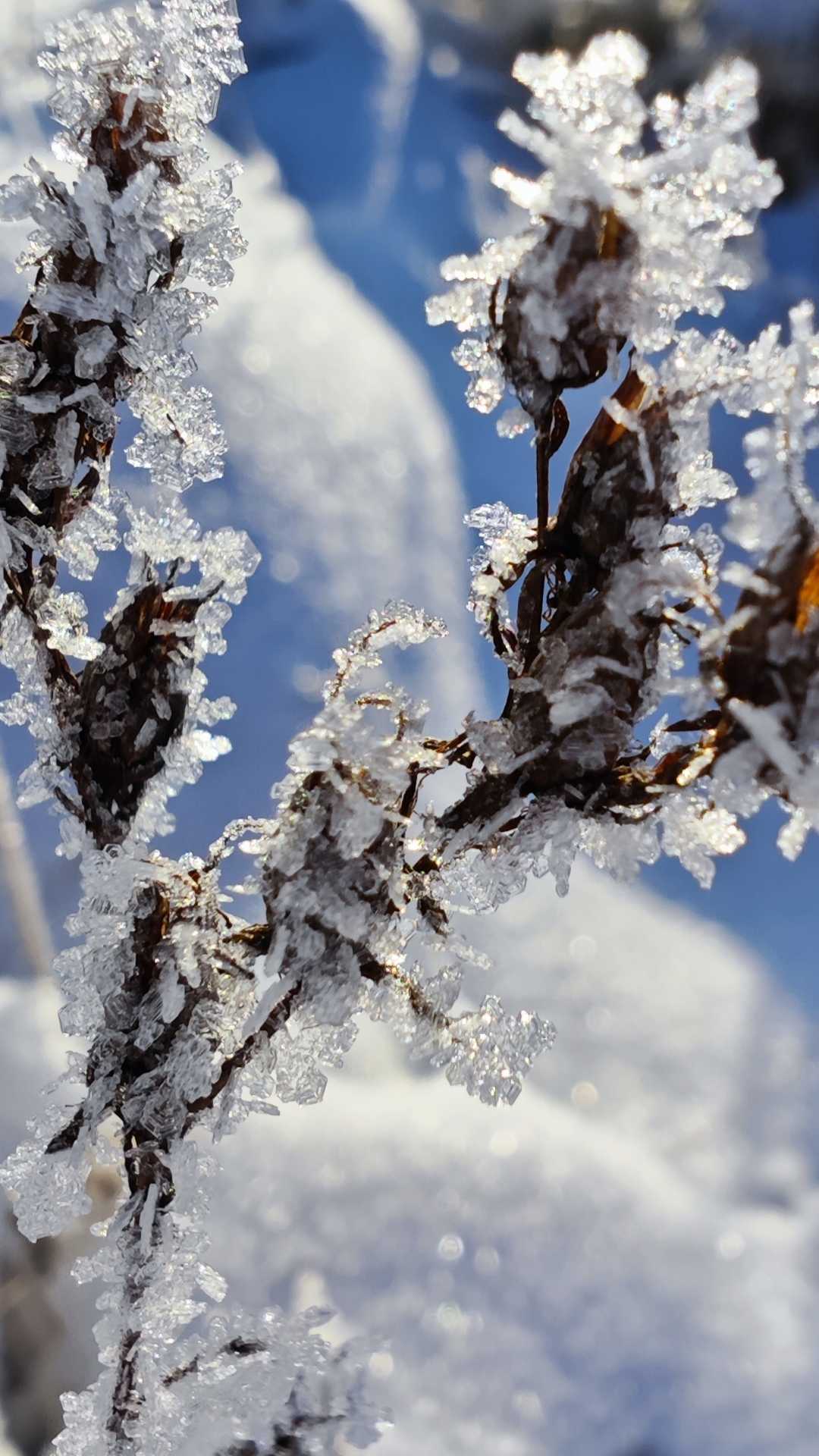 Poland Winter ❄️