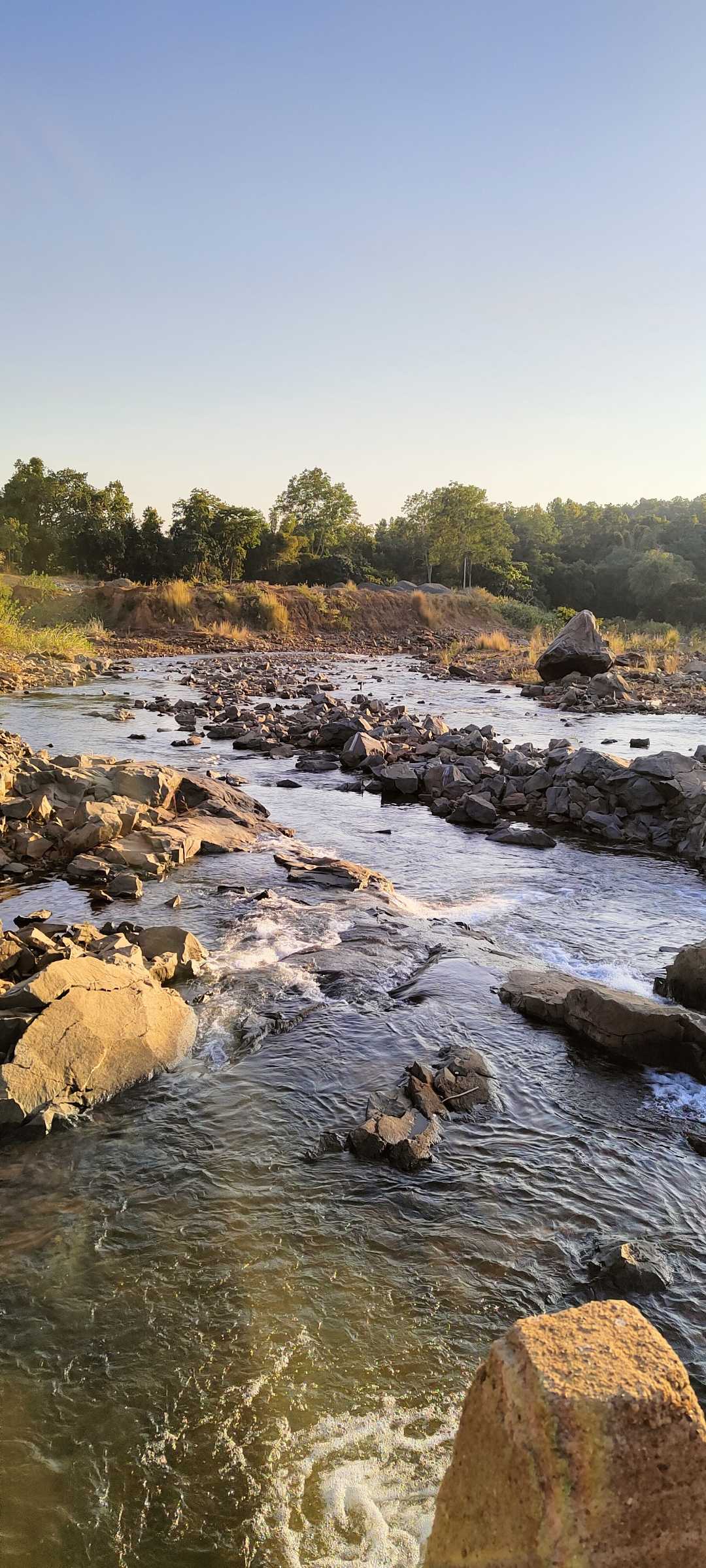 Picnic spot 🏞️