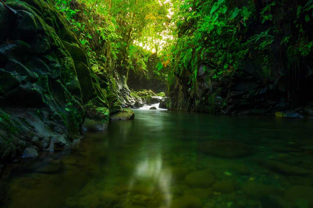 the beauty of the rock alley waterfall