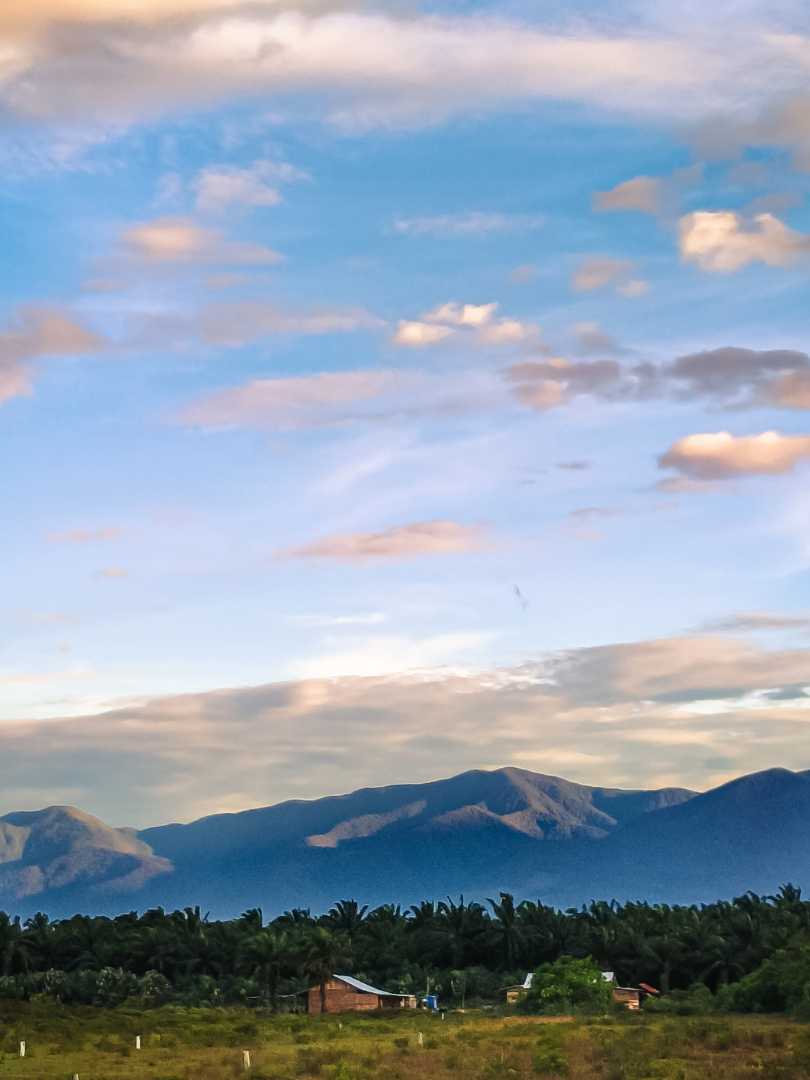 Mountain