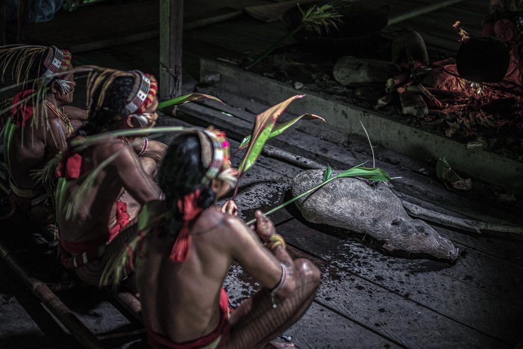 Mentawai Tribes