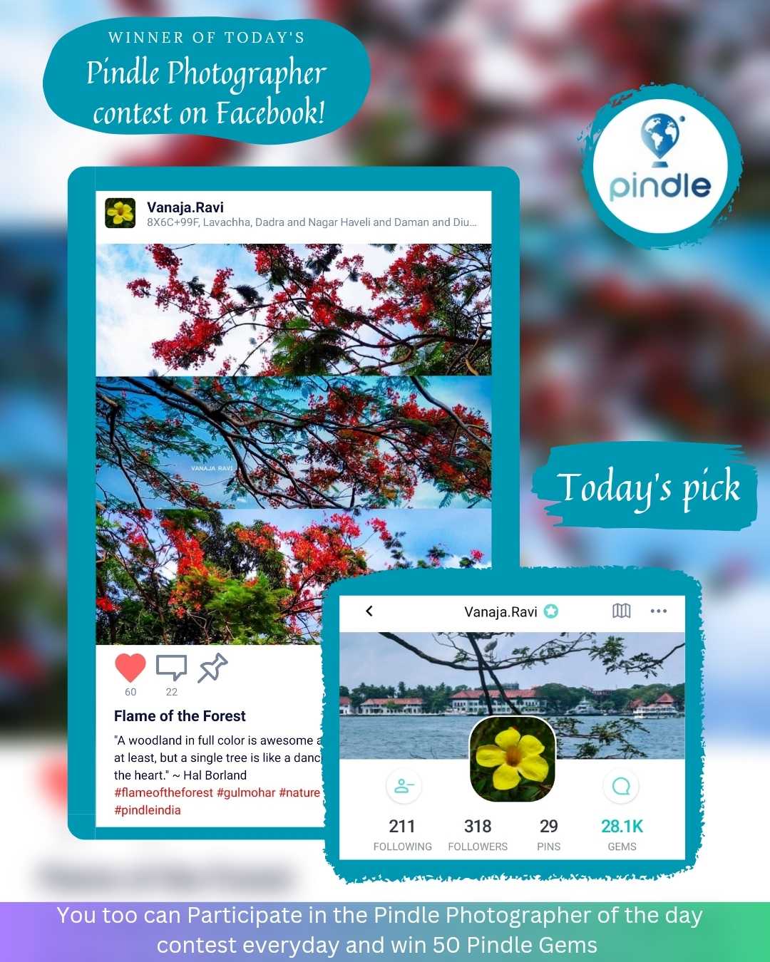 Pindle Today's pick 