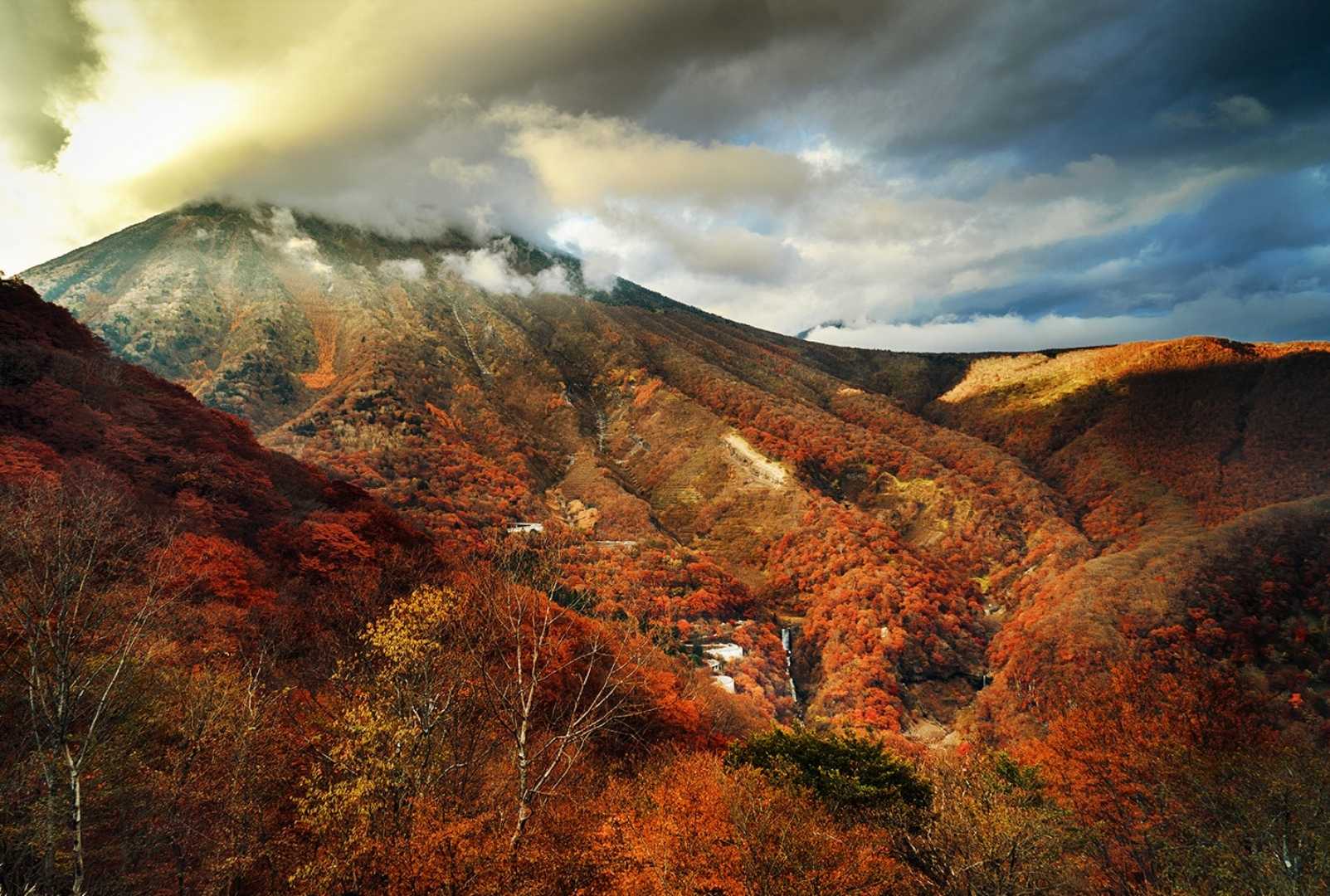 autumn 