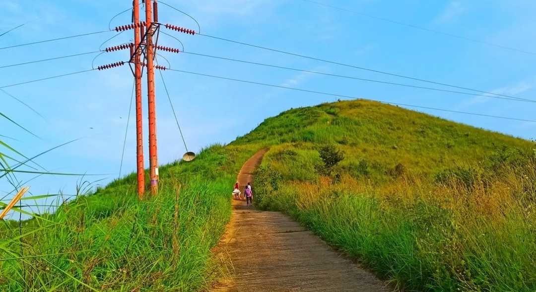 Nature hike