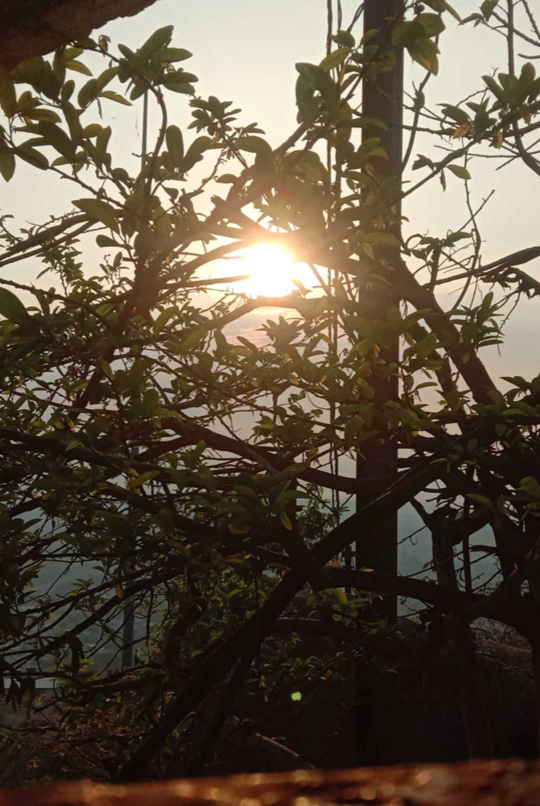 Morning view on top of hill