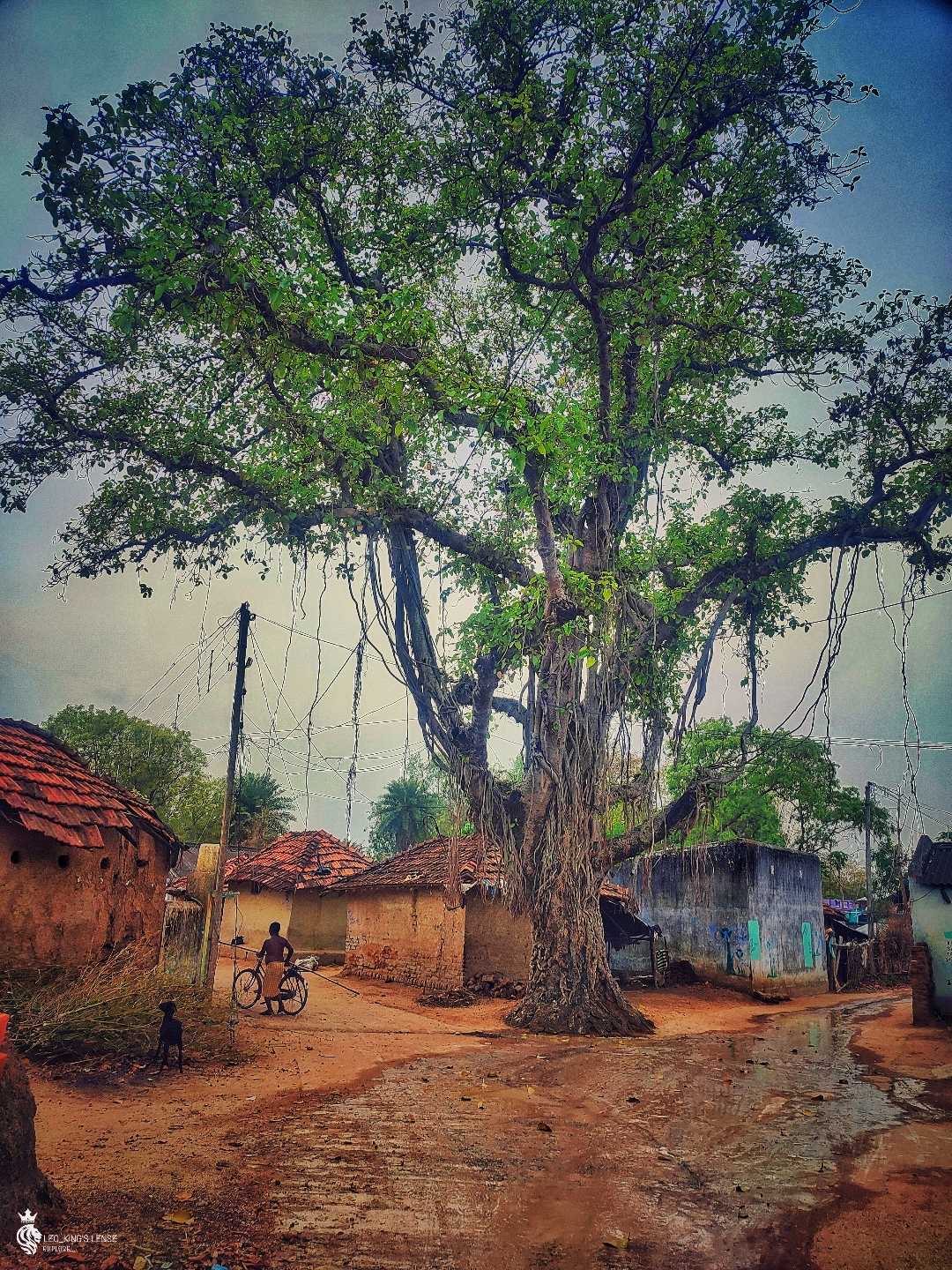 Beautiful view in village 2023
