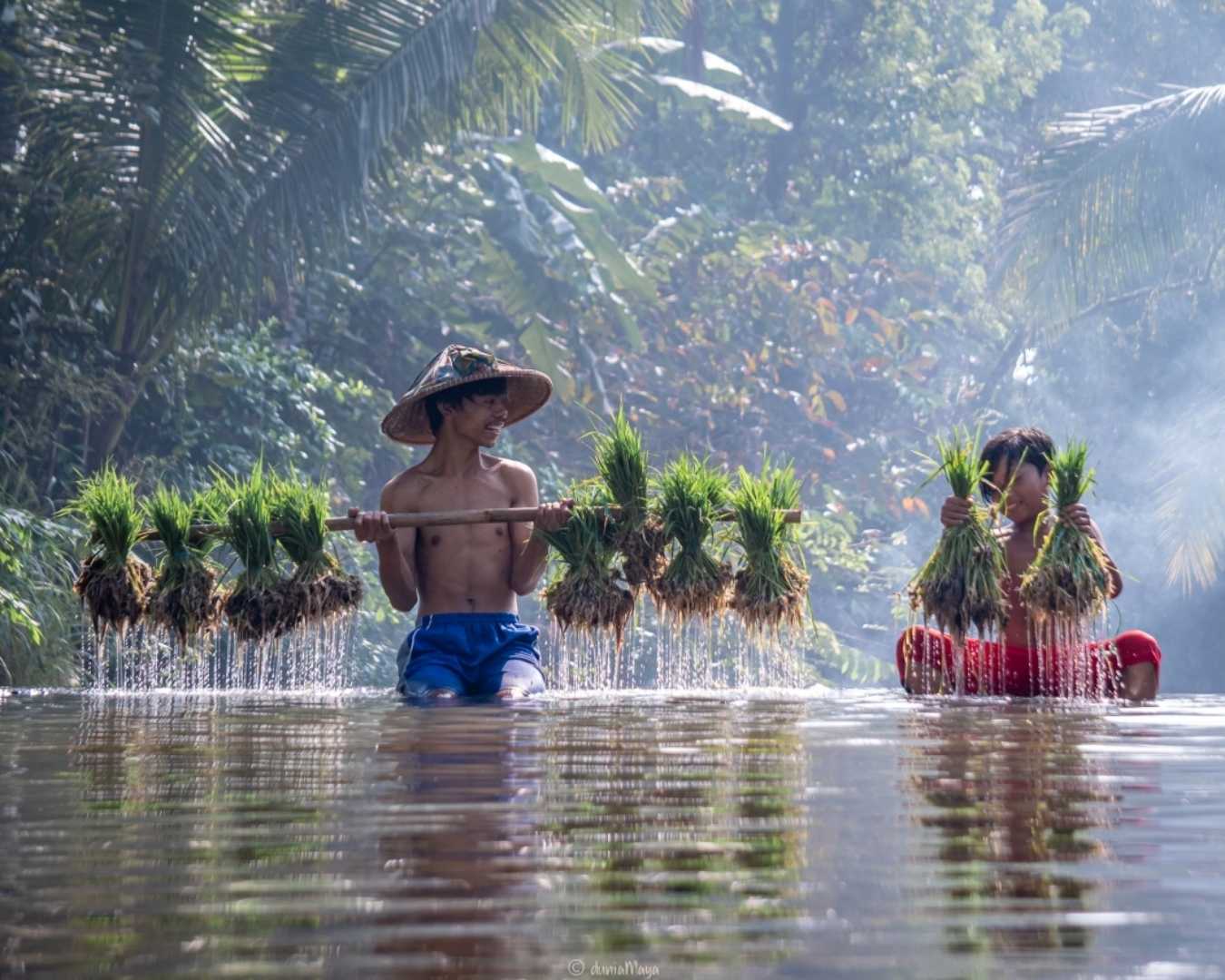 Hasil bumi Indonesia