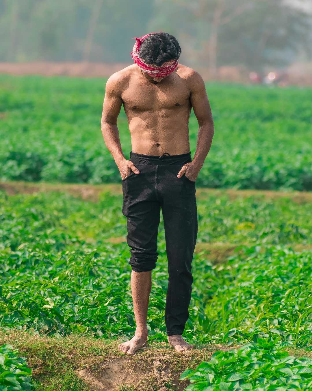 💫 FARMER 💫