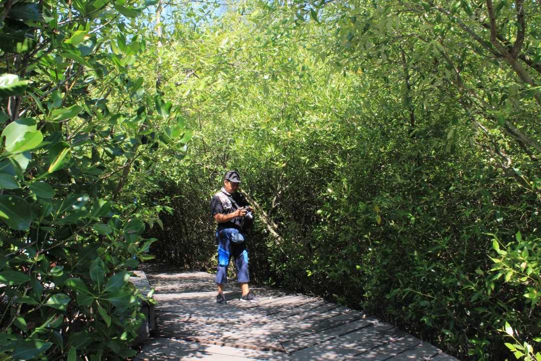 Kebun Raya Mangrove Gunung Anyar
