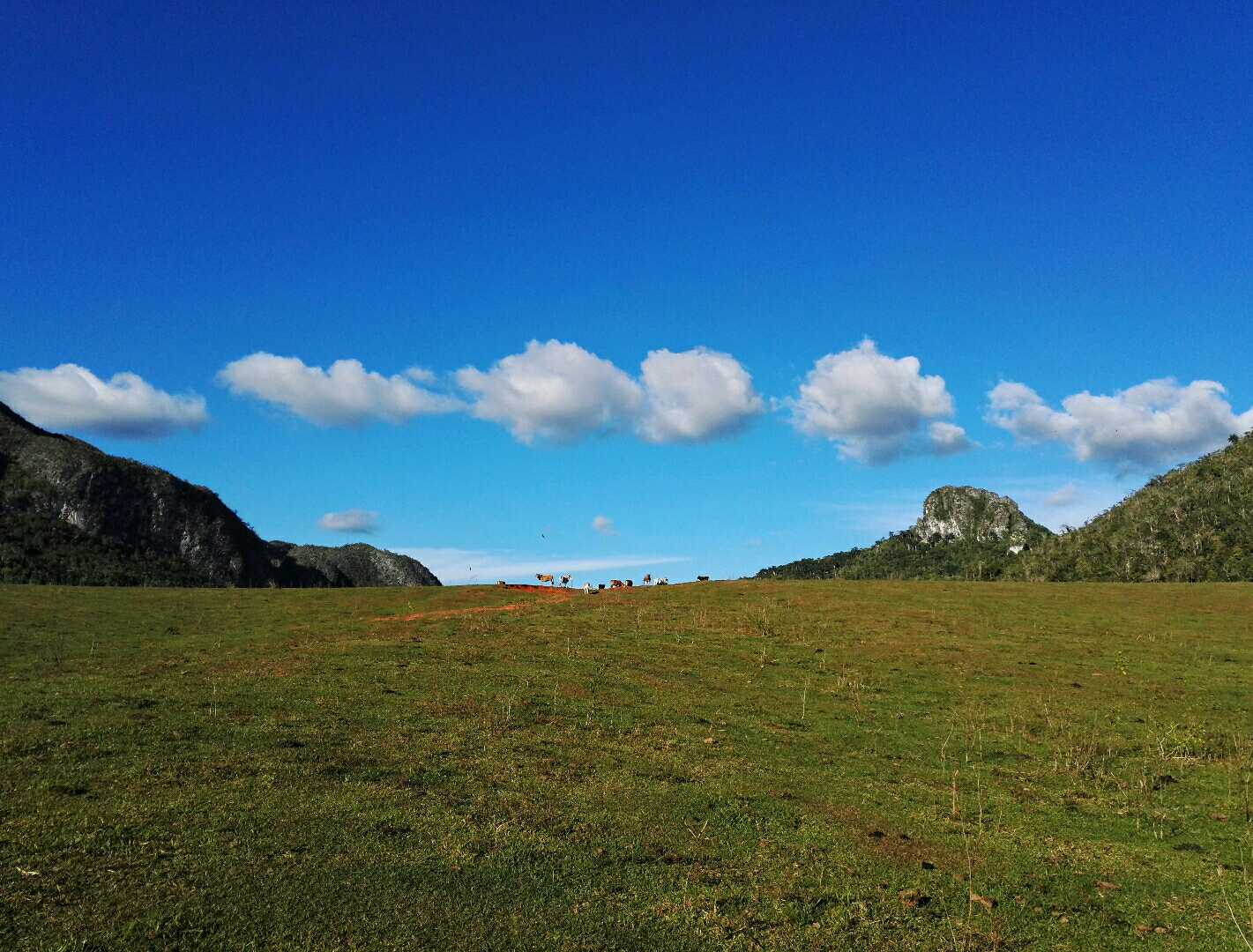 nubes