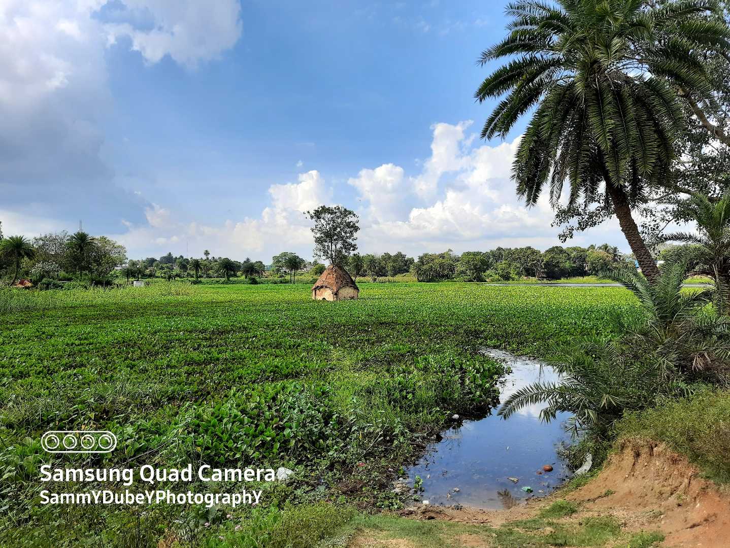 কাশিপুর রাজবাড়ীর অজানা ইতিহাস