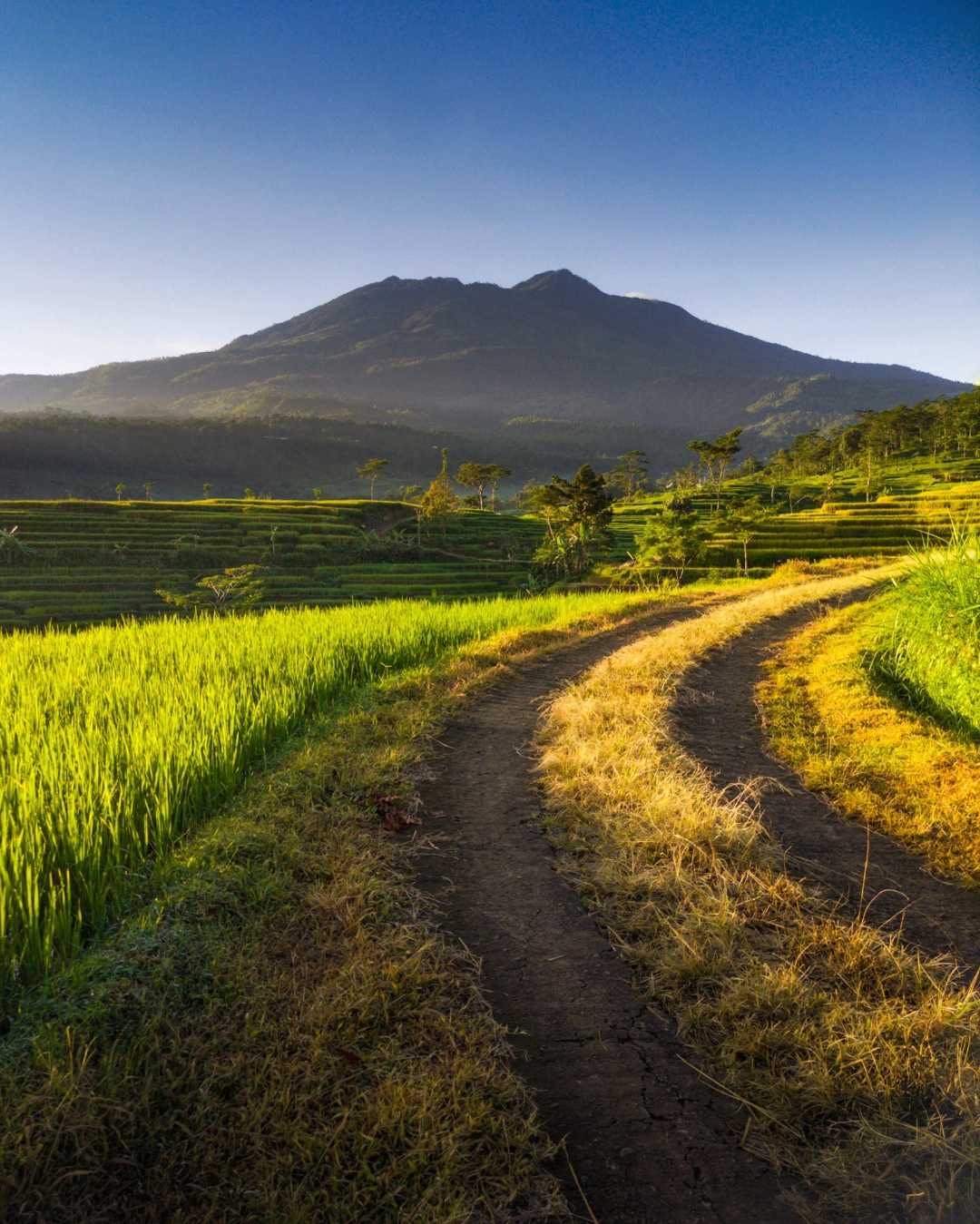 Rural Beauty.