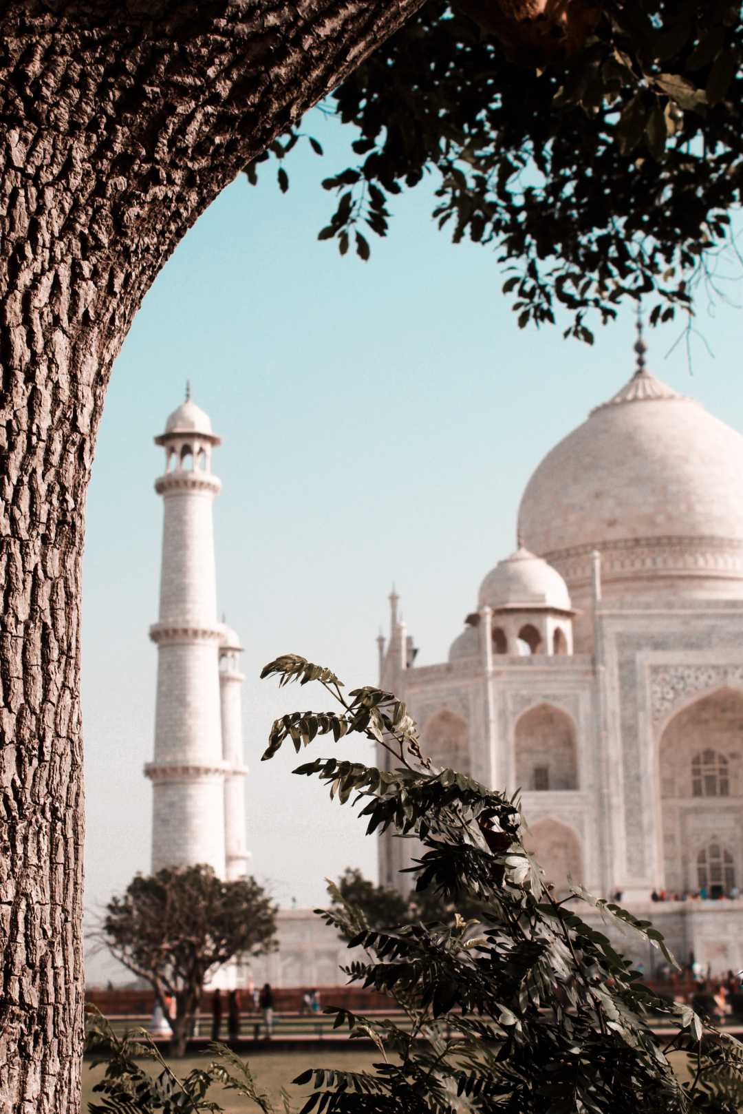 Framing Taj mahal