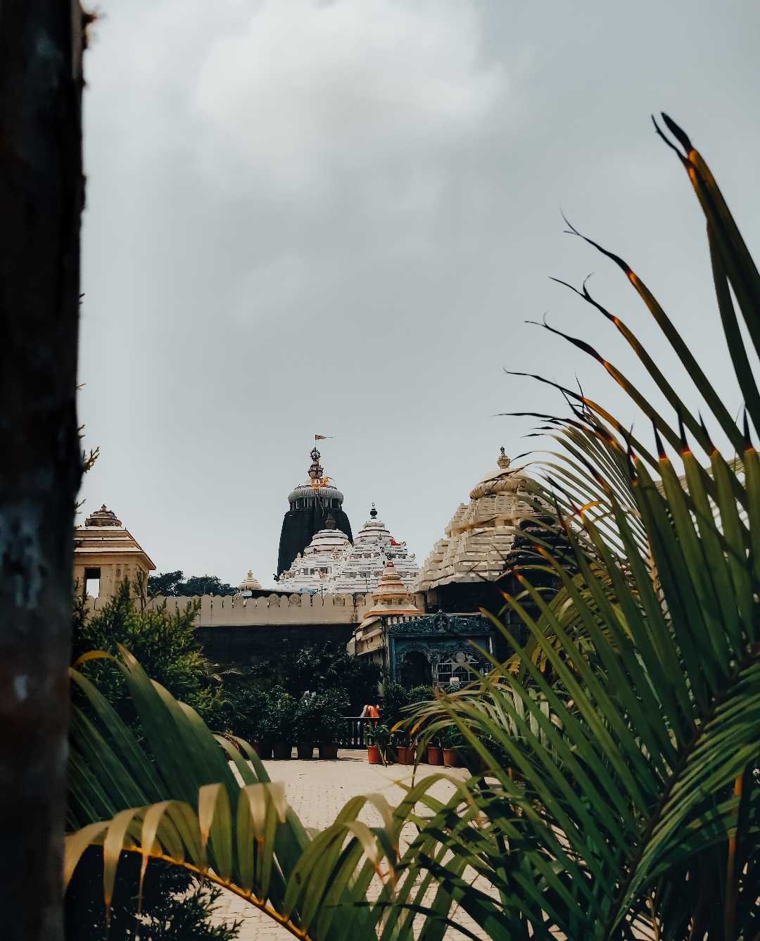 jagannath dham 😍🙇🏻‍♂️🙏🏻