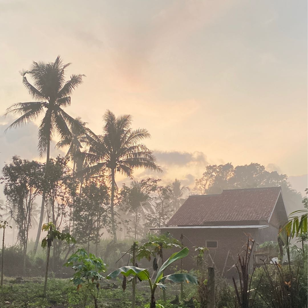 suasana desa malang