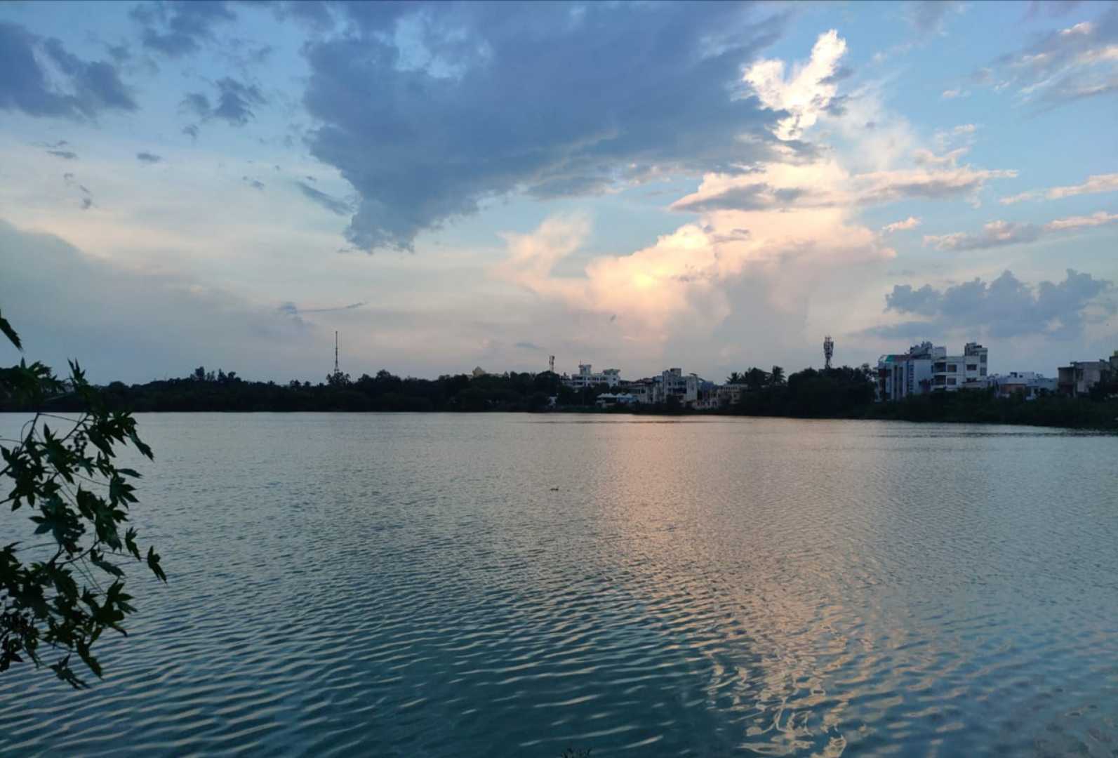 Lake View